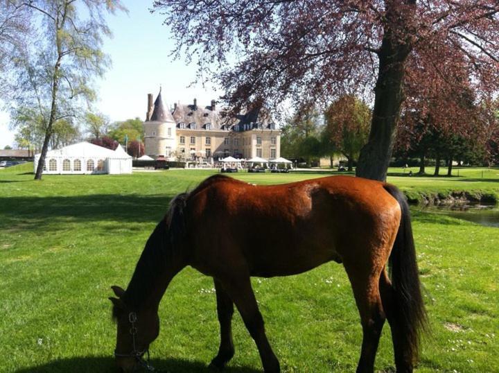 Chateau De Berticheres Chaumont-en-Vexin Exterior foto